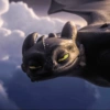 Toothless  5