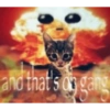 Oii 20