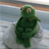 Ranita RENÉ! 🐸 22