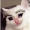 Memes Sad 10