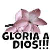 Dios es bueno 15