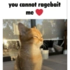 Meow 30
