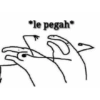 Flork Molesto 19