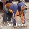 Ase frio