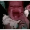 Papa 9