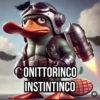 CONITTORINCO INSTINTINCO