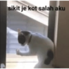 Meow 5