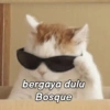 Patrick meme Indonesia 16