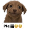 Whatsapp stickers 12