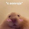 *c sonroja*