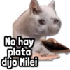 No hay plata dijo Milei