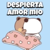 Buenos dias BUBU 🐼❤️ 11