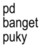 pd banget puky