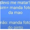 Amo bb 5