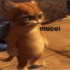 MEMES DE DESENHOS 14