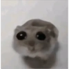 🧿🧿🧿 15