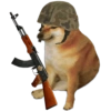 Perro meme Cheems 👋🏻😎 12