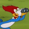 Pica-Pau reações 🤣 27