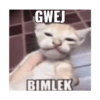 GWEJ BIMLEK