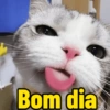Bom dia 14