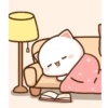 Angry cat 6