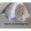 hazme un oral tengo frio