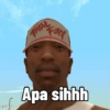 GTA meme 13