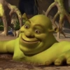 Shrek 💚 12