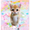 °₊‧꒰ა cutecore pt 3 18