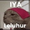 Kucing 15