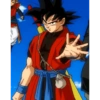 Goku xeno 10