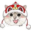 @KiwiBritishCat 17