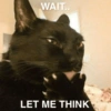 Ball cat 7
