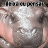Moo deng meme 14