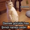 Aşk yani love 10