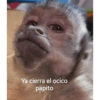 Mono meme 13