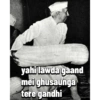 Gandhi 16