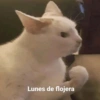Lunes de flojera