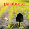 palabrota