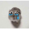 Hamster triste 5