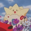 Pokemon cute 18