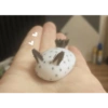 Cute 12