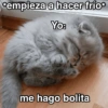 Frío ✨❄️☃️MEMES 11