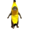 Animalitos 😆 24