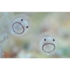 Cute 8