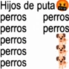 Hijos de puta + perros perros perros perros perros perros perros
