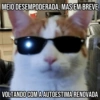 Pets Fofos Memes 5 🐾 6