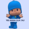 Pocoyo kocak 13