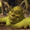SHREK 9