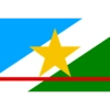 Bandeiras Estados Brasil 8
